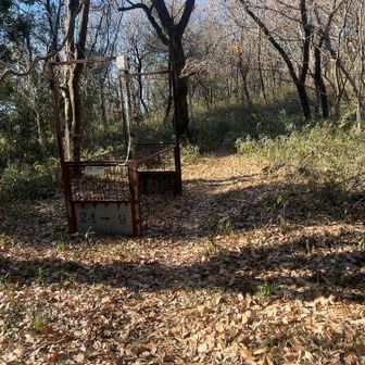 道中、箱罠が置いてありました🪤

藪の中からはガサガサ音が…
あの音は鳥じゃないと思う…💦