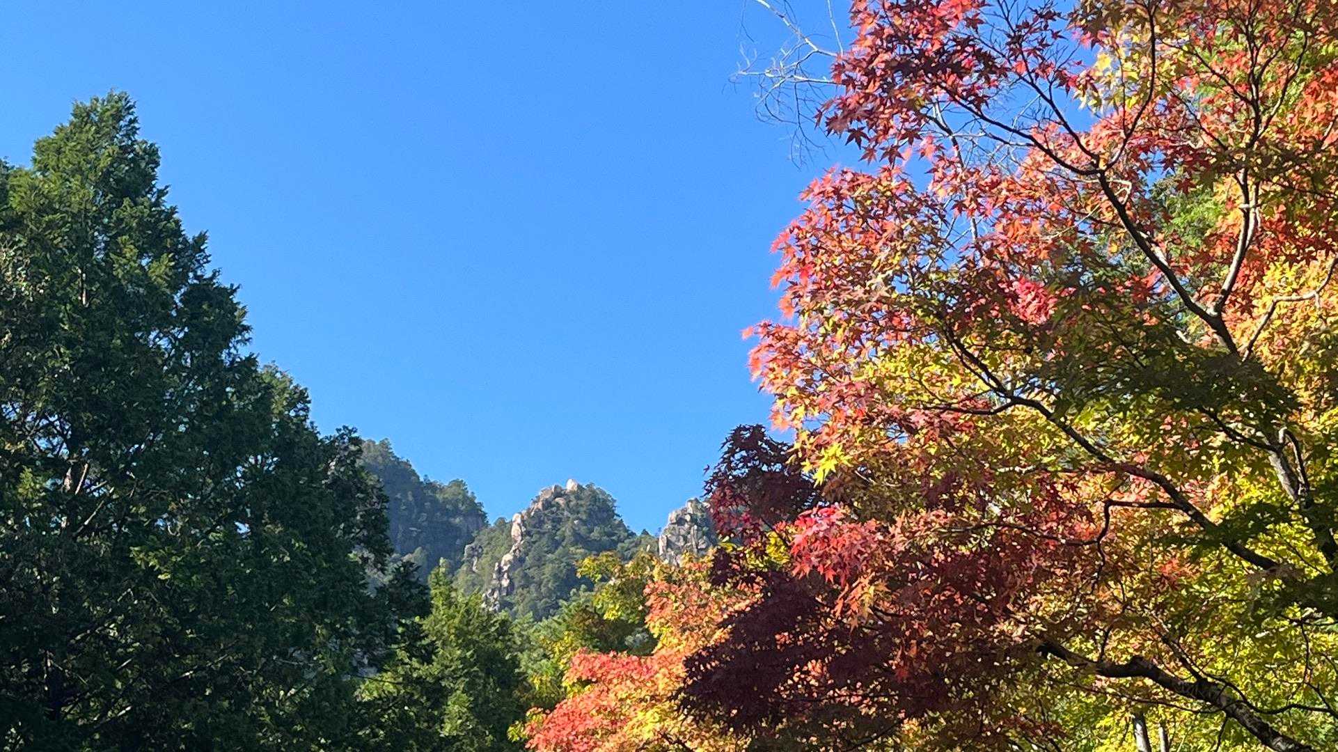 三倉岳-瓦小屋山-瓦小屋山登り口-Aコース登山口 周回コースの写真