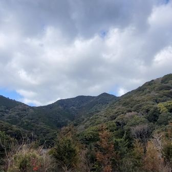 高山です。