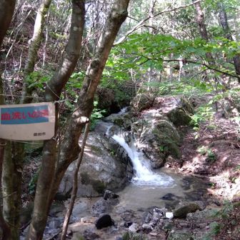 ここのドボンも気持ちイィーんだけど〜でも1回しかしてないけどね🙄
ドボン前後の用意する場所が無いのが難点かな🙄
