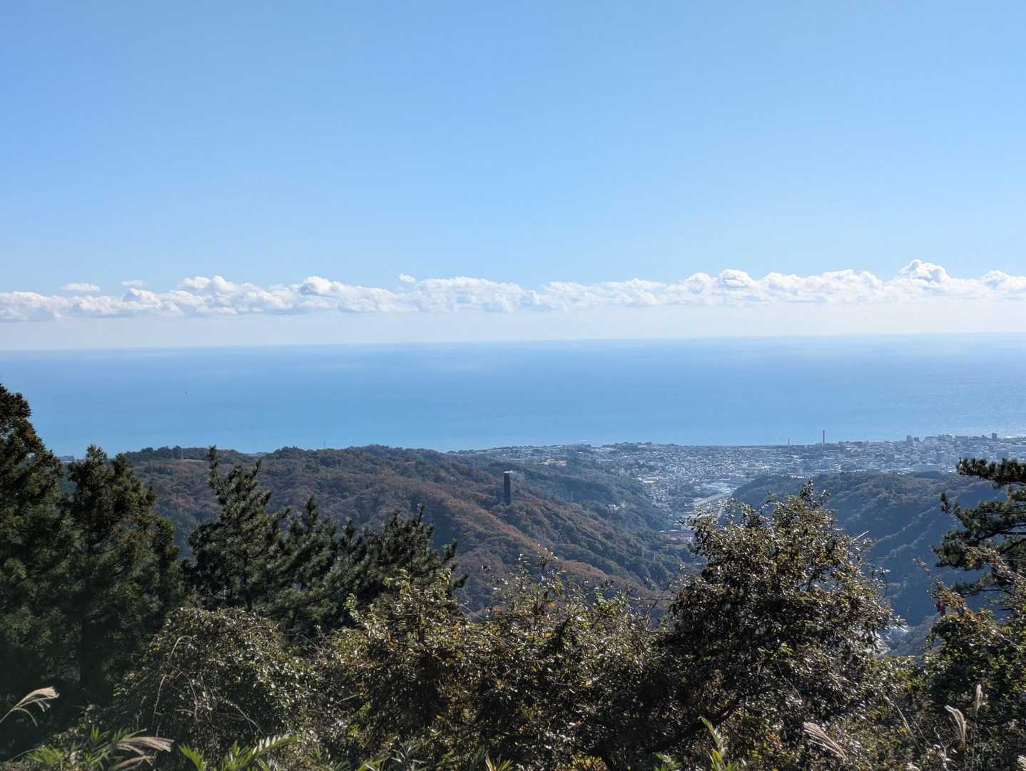海が見えるお山っていいですね💞
埼玉県人は憧れます😂