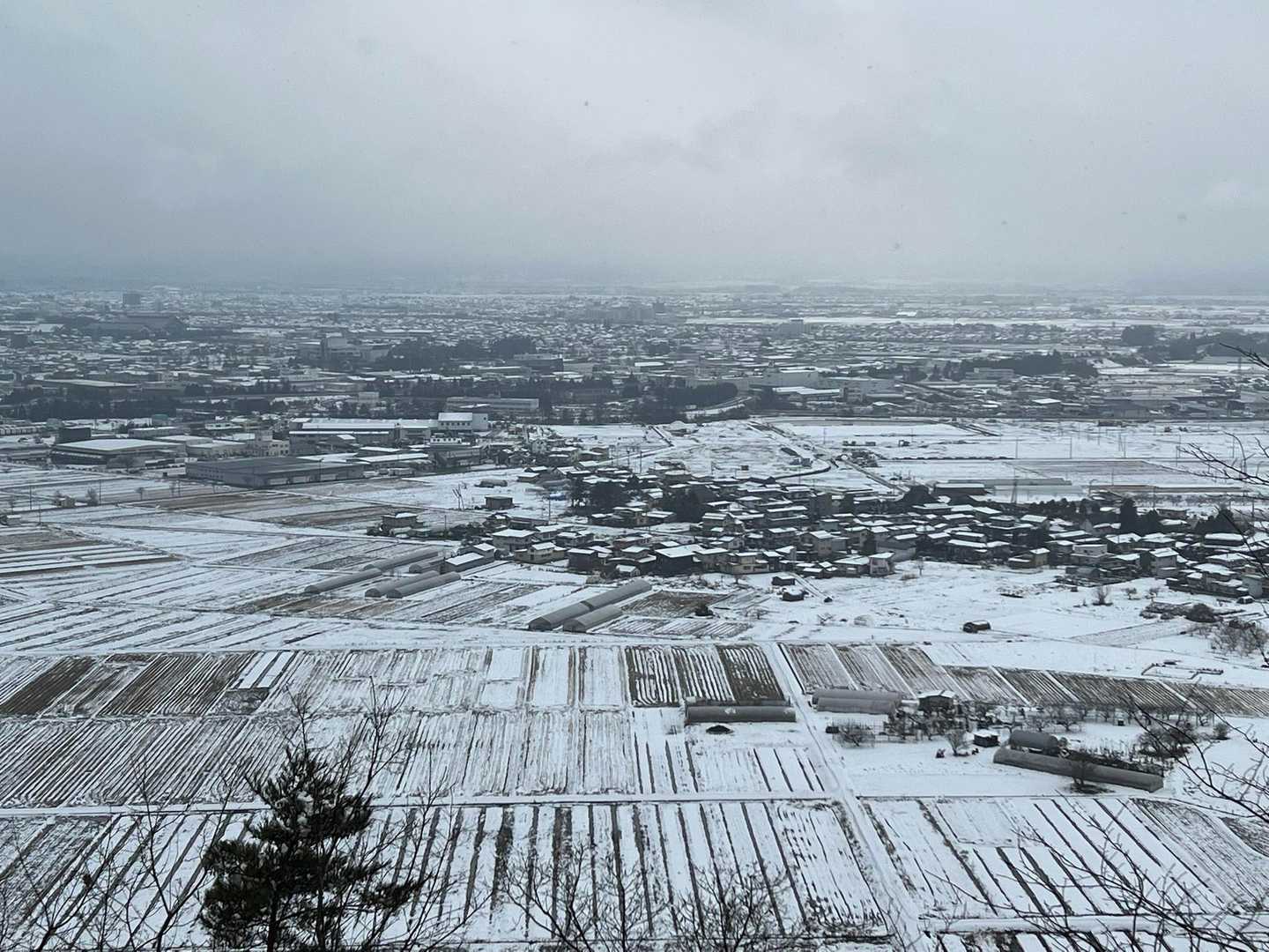 小菰石山-大岡山 周回コースの写真