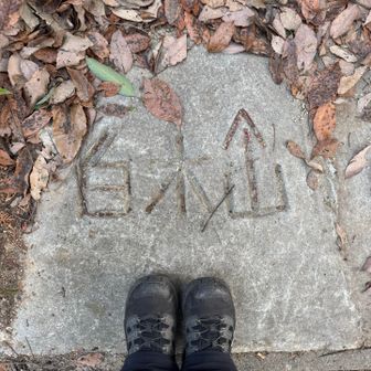 しゅっぱーつ🙋‍♀️