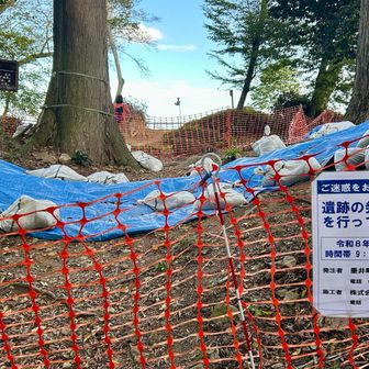 まだまだ新たな何かが見つかるのだろうか