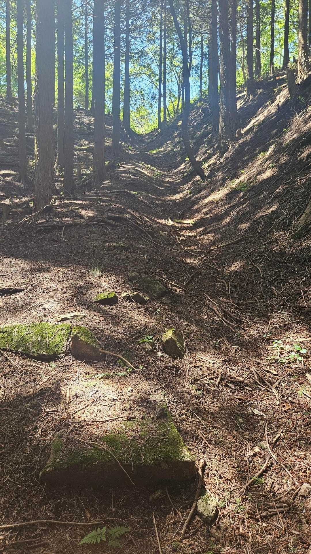 尾根鞍部が見えた❗
