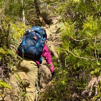 けっこう険しいよ