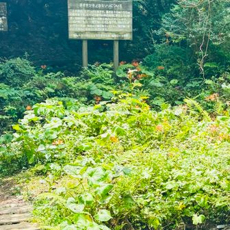水無し登山口です。