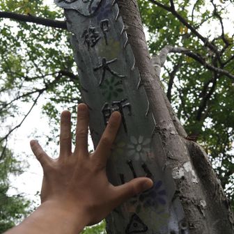 ピーク、御大師山
