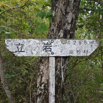 立岩