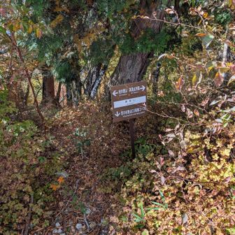霧降山の分岐を軌跡繋ぐため、そのまま稜線を進み明神岳を目指す。
