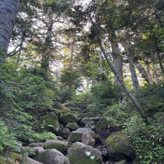 この上が雲ノ平以外は許されへんやつ