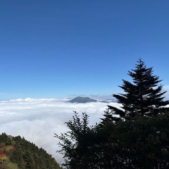雲の上にひょっこりと・・・