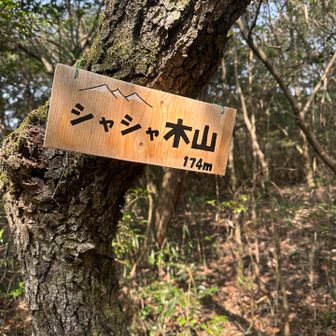 なんと標高174m😂