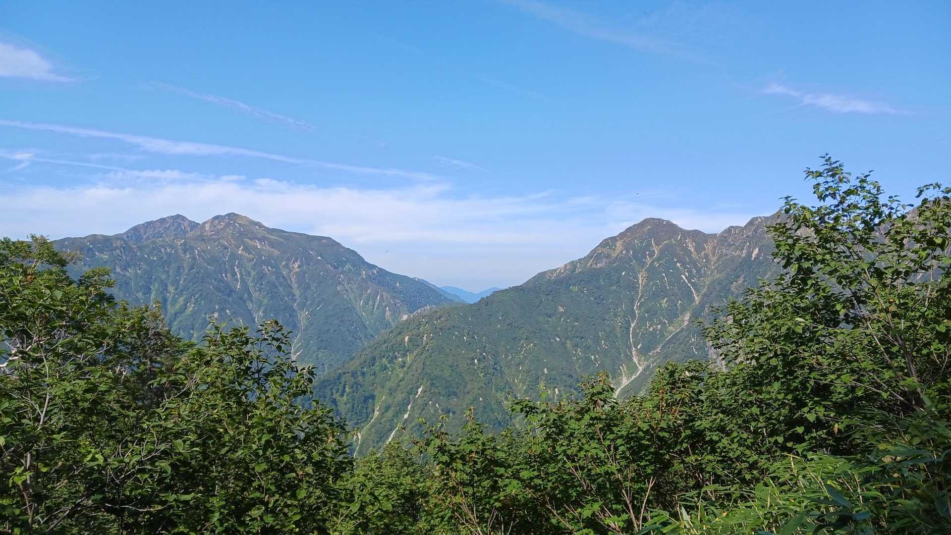 登りでは見られなかったので何故か新鮮❓