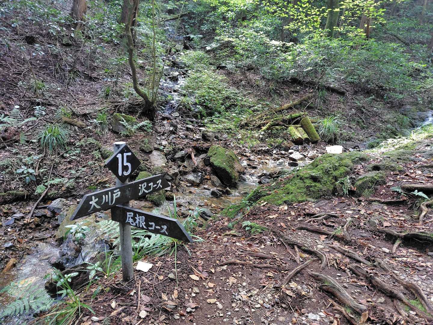 林道終点から登山開始