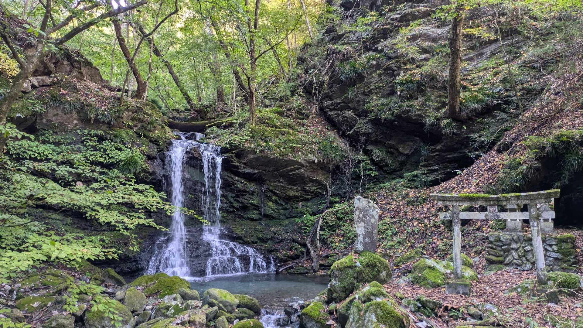 大輪バス停-妙法ヶ岳 縦走コースの写真