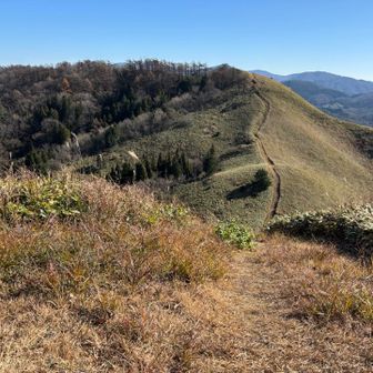高山着いたけど
何も標識なし