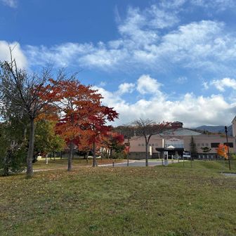 今日も無事下山✨
晩秋の余市岳ほんとおすすめです🍁