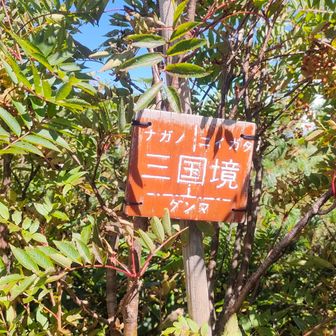 ぐんま　にいがた　ながの🙌
ひっそりと小さい標識🤭