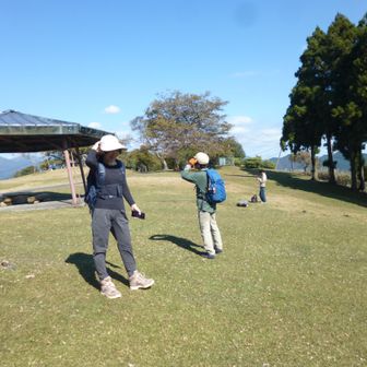 此処は牧場になっていたところです。