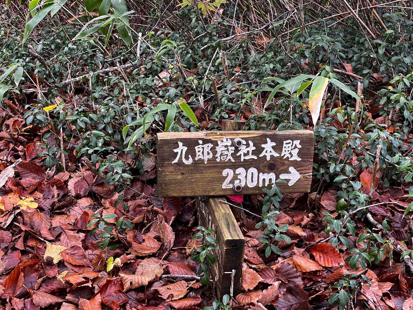 寄ってみようかな