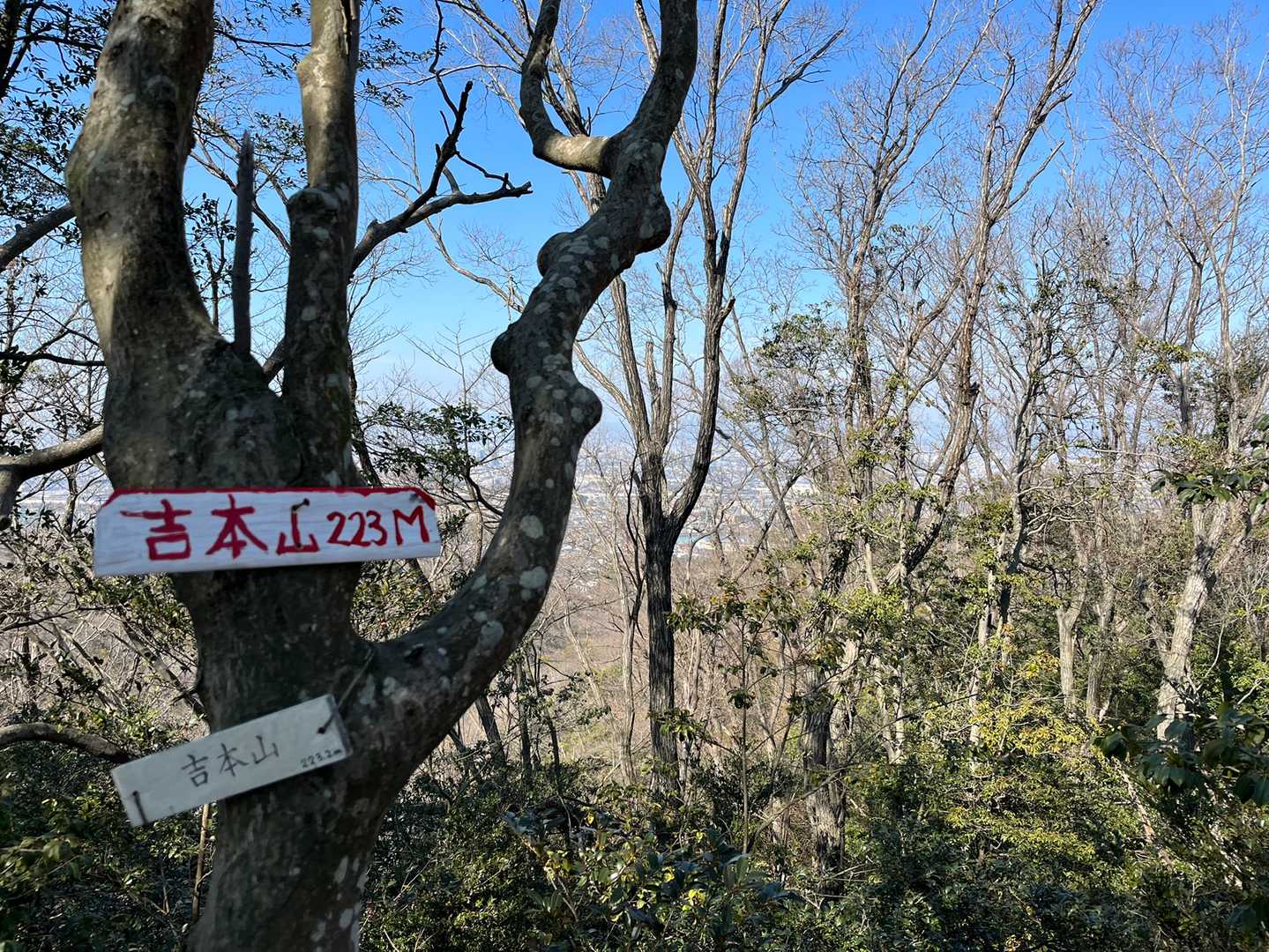 20ピーク🚩吉本山。ほんま、どこで食べよう😆
