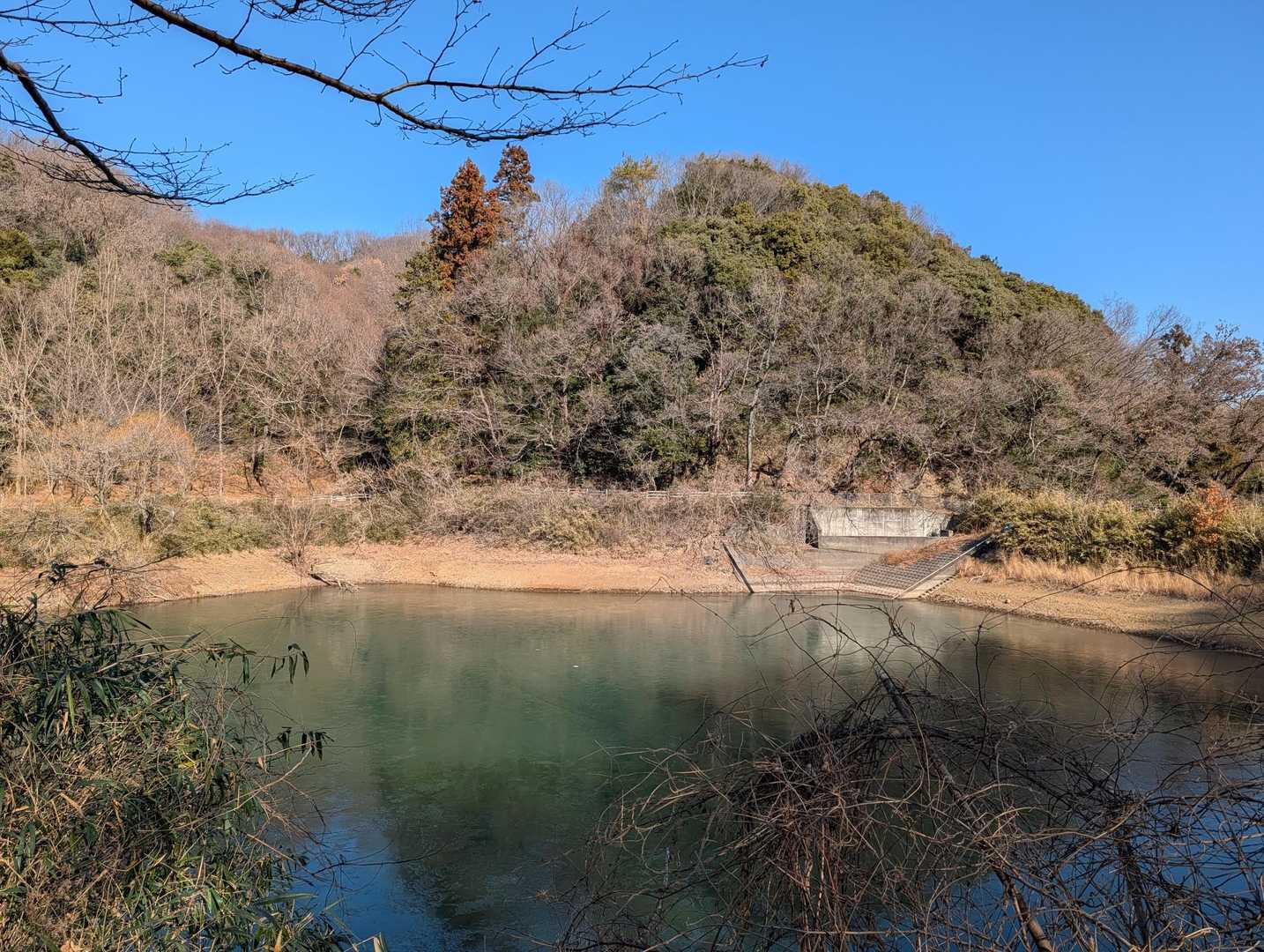 谷津池の〜
水面を走る！？
小鳥かな🐦かわっ🤗💕