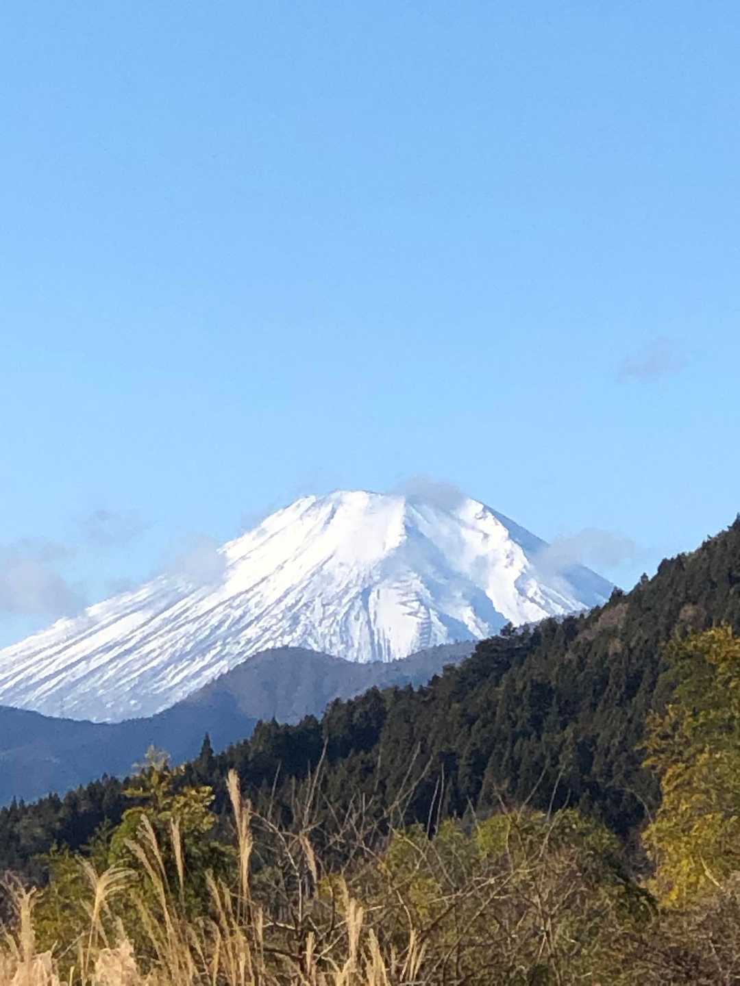 入道山-秋山峠-赤鞍ヶ岳-岩戸ノ峰-本坂峠-ブドウ岩ノ頭- 周回コースの写真
