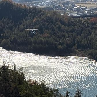おにぎり広場から訓練の様子。