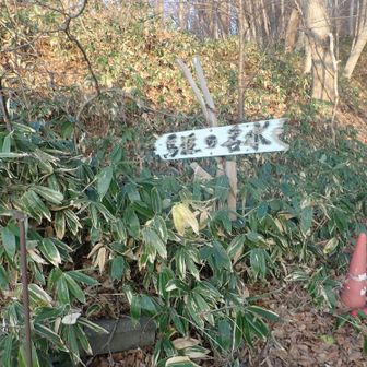 名水飲み忘れる😅