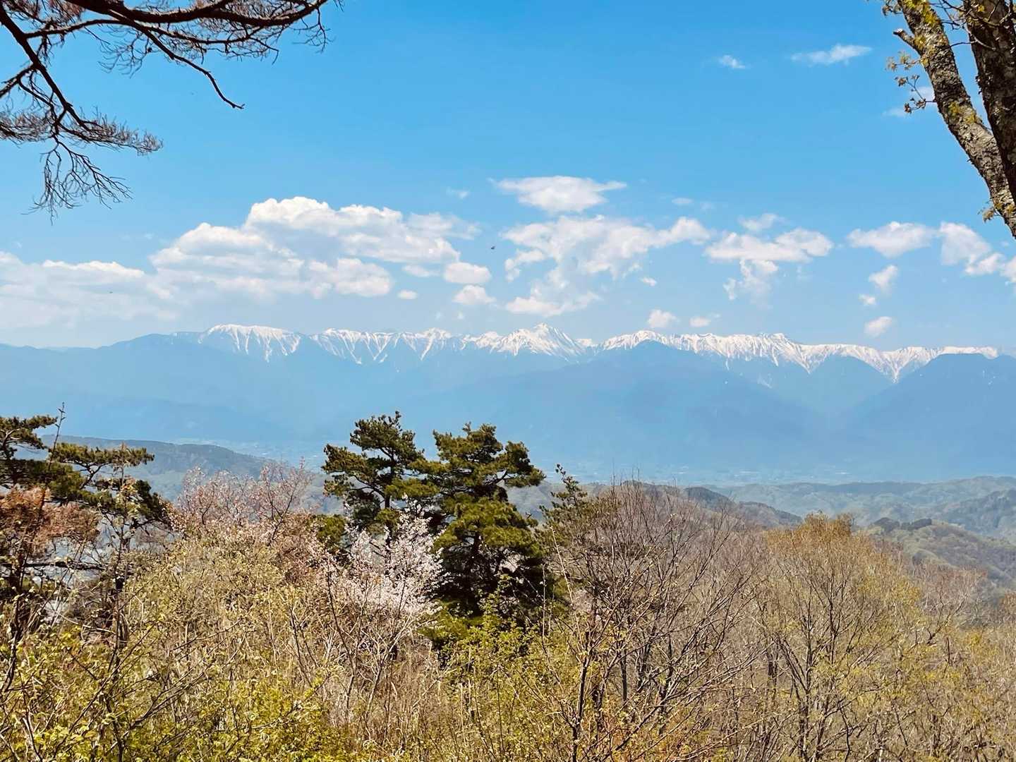 北アルプスくっきりです