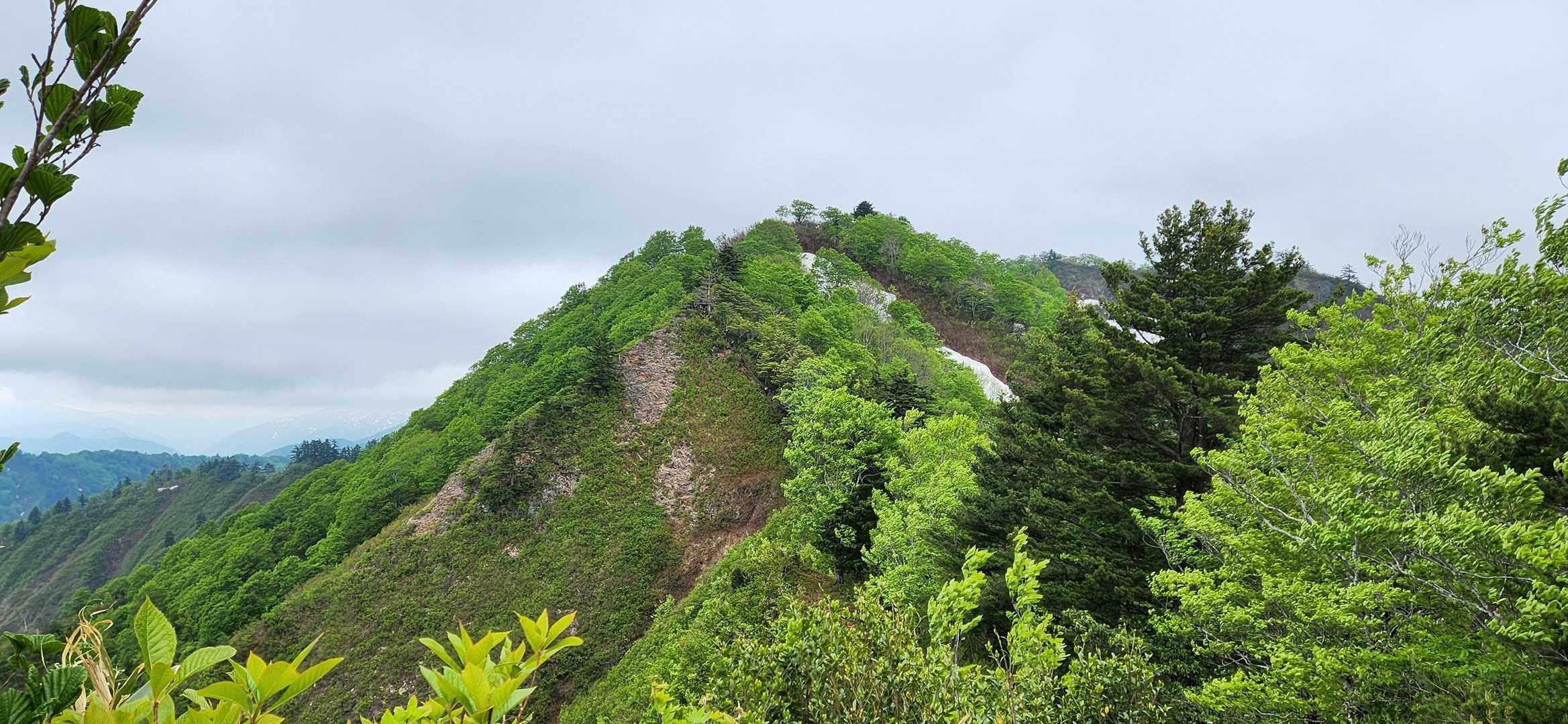 尾白山 往復コースの写真