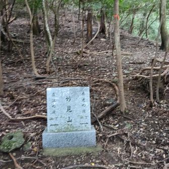 妙見橋あたりのゲートから直登バリルートで登山道へ