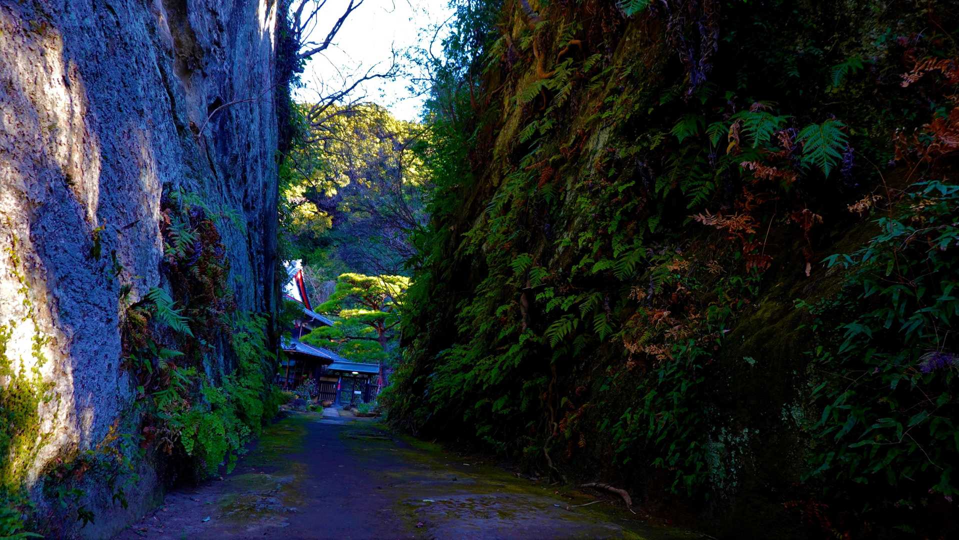 素晴らしい雰囲気の山寺