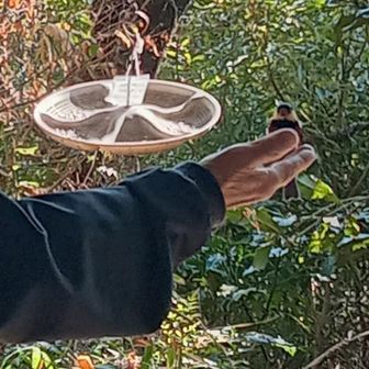 慣れた感じのおんちゃんの手に乗るアイドルのヤマガラさん
今年も大切に可愛がってもらえそうだね〜😄