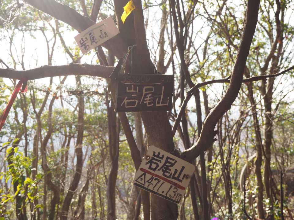 岩尾山山頂‼️プレートがいーっぱい😊
