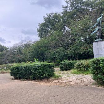 耐えきれずベンチに座って休憩。
まだ先週の50キロが尾を引いてるんでしょうか…