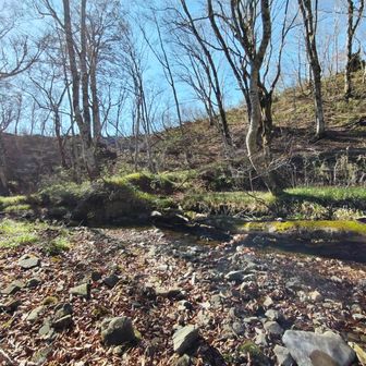 左門岳 尾根の５m下を川が流れています。こっちの水は長良川に降りていきます。尾根の向こうは揖斐川水系です。