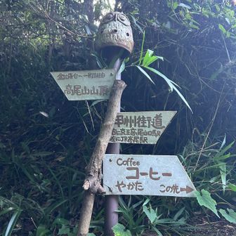 登山口まで降りてきました