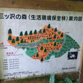 ただ、公園と言っている割に整備していなくて道は少し荒れ気味ですが藪道を歩いている私にとっては良い道に見えます。😁今回は1号路を上がり５，3号で下りました。