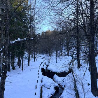 ようやくスタート地点まで戻ってきました。