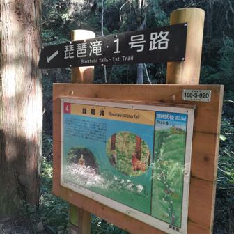 分岐。前の人にくっついて違うコースに行きかけた😅