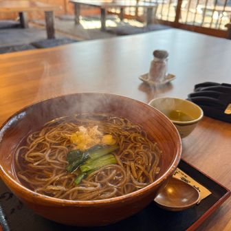 店員さん達覚えてくれました笑
あまりに間抜けだったんだね😅
けど何千人もの人々を接客しているだろうに覚えてくださるなんて暖かさを感じました😌

かけそば @800
ダシが美味すぎ問題
ご馳走様でした！
また来ます😄