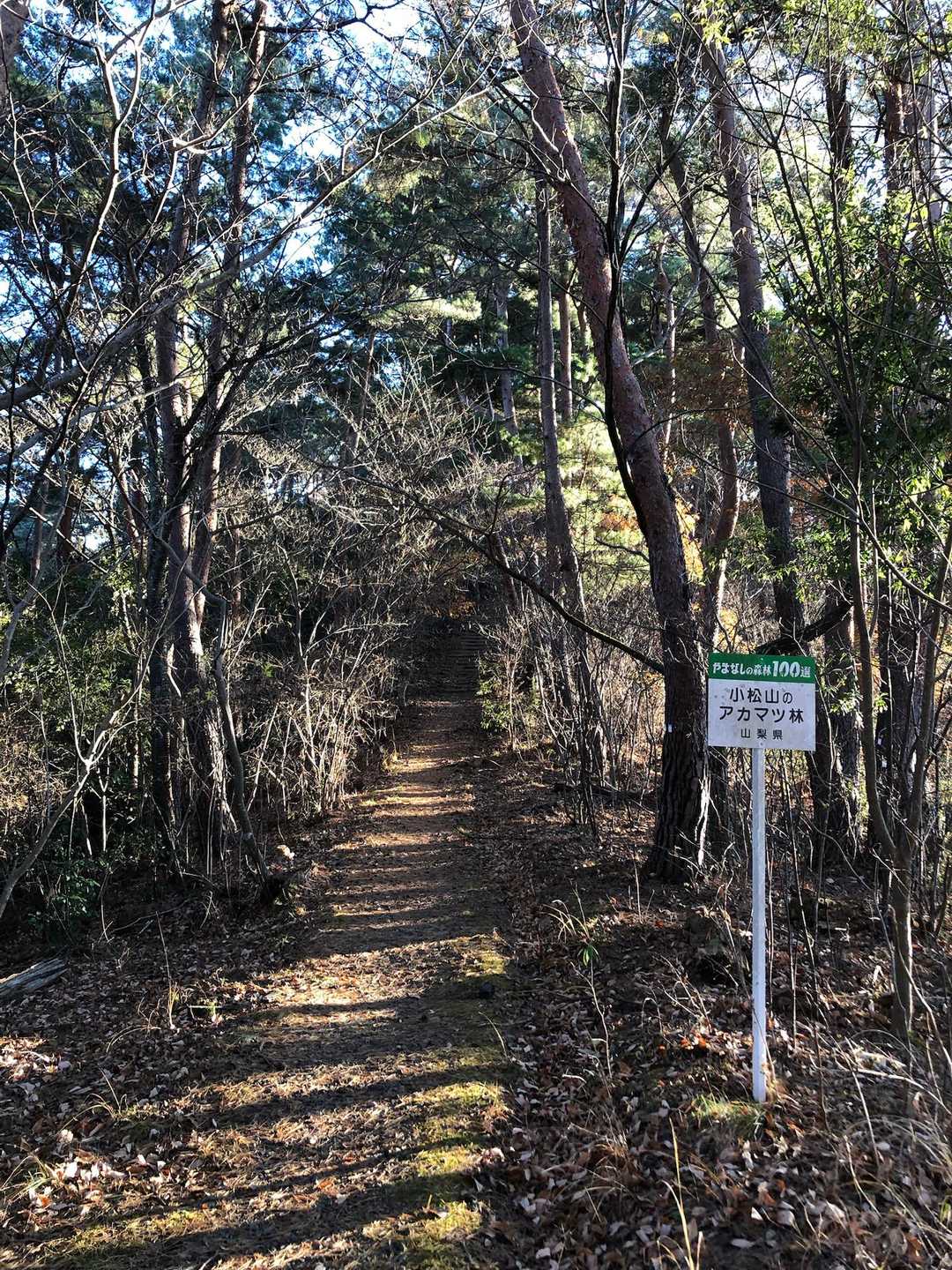 小松山 往復コースの写真