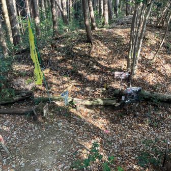 クランクポイントを通過。