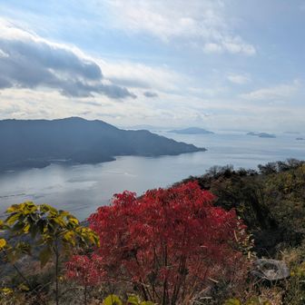 倉橋🏝️
遠〜くにうっすら石鎚も見えた!!肉眼ではな(￣ー￣)ﾆﾔﾘ
山頂は眺望最高(/･ω･)/