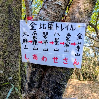 あれ？私達が歩いてる方向と矢印が逆？🧐
しかも金山寺山？なんて無かった🤣