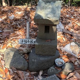 千手山（浄福寺城址）ヽ(´▽｀)/
千手山の山頂標識撮り忘れたちった😝