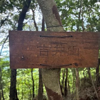 吉井山