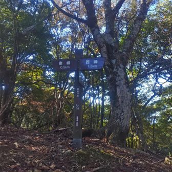 山上に到着。